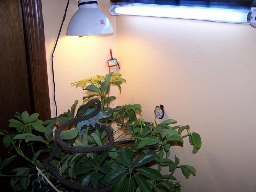 100_2877.jpg