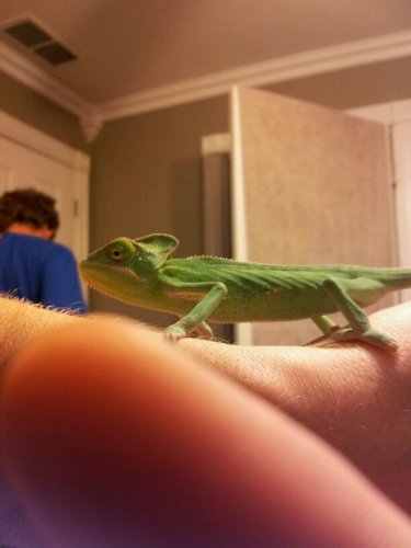 20120429_174112.jpg