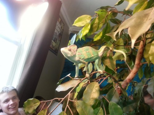 20120723_151942.jpg