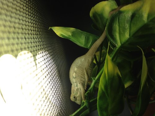 photo (29).jpg