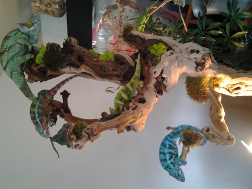20120630_082652.jpg