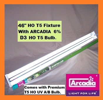 46 arcadia d36.jpg
