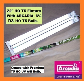 22 t5 arcadia 6.jpg