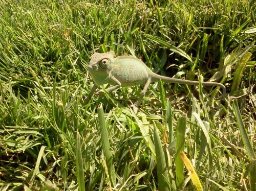 2012-07-31 16.19.56.jpg