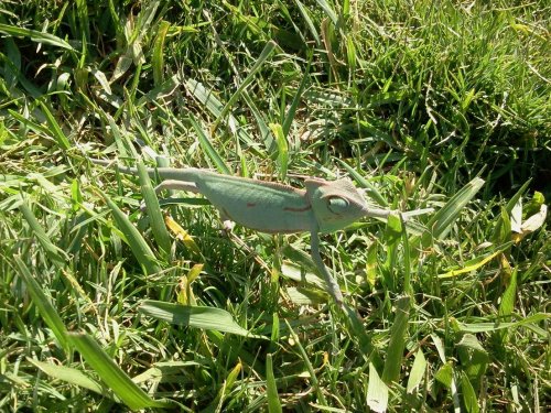 2012-07-31 16.20.39.jpg