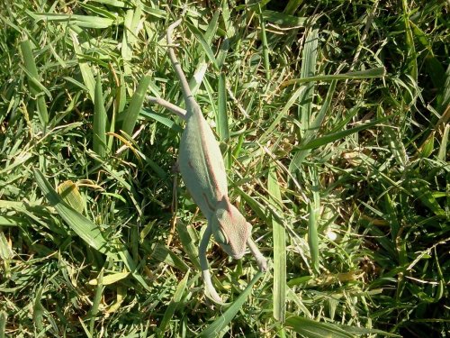 2012-07-31 16.20.50.jpg