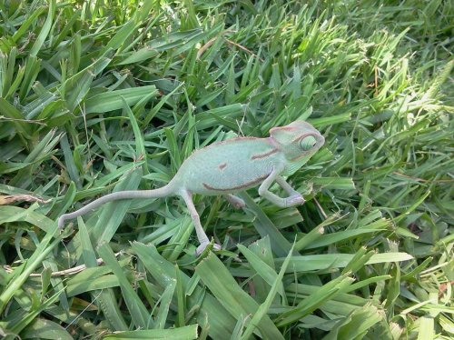 2012-07-31 16.21.07.jpg