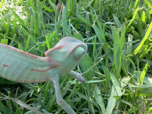 2012-07-31 16.22.09.jpg