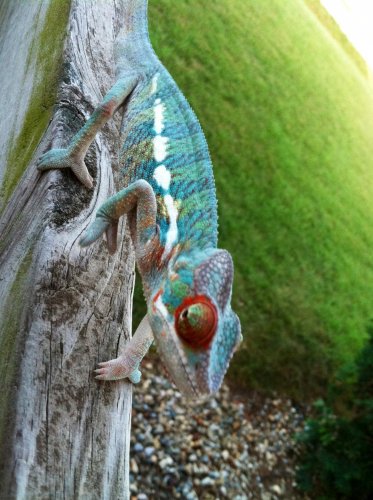 photo (2).jpg