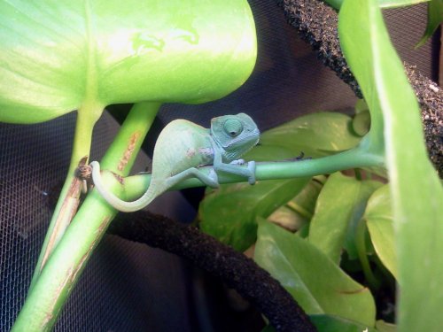 2012-07-31 23.31.08.jpg