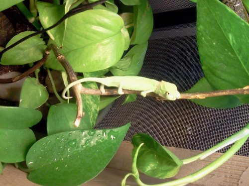 2012-07-31 23.32.02.jpg