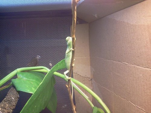 2012-07-31 23.32.30.jpg