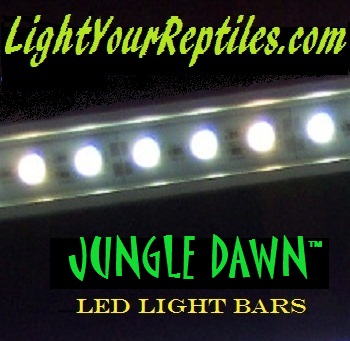 Jungle DawnTM LED barPIC.jpg