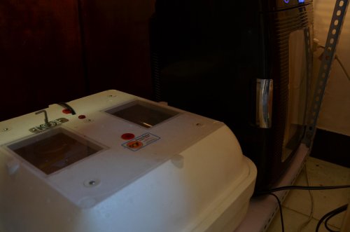 DSC_0221.jpg DSC_0221.jpg