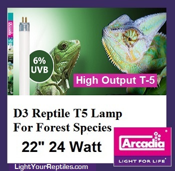 d3t5_linearlampd24.jpg