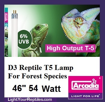 d3t5_linearlampd28.jpg