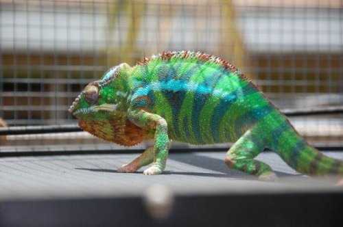 photo(8).jpg