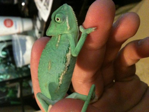 photo (1).jpg