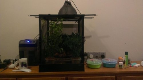 IMAG0116.jpg