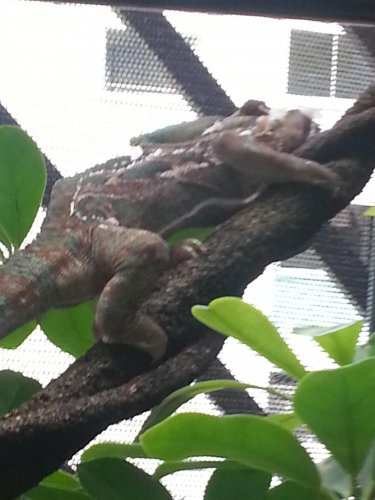 20120805_150624.jpg