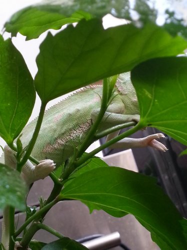 20120807_151606.jpg