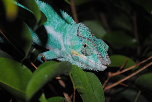 DSC_0276.jpg