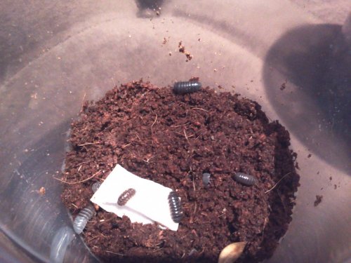 2012-08-09 18.01.55.jpg