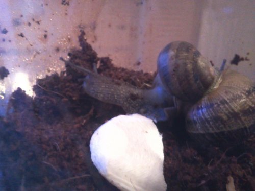 2012-08-09 18.02.45.jpg