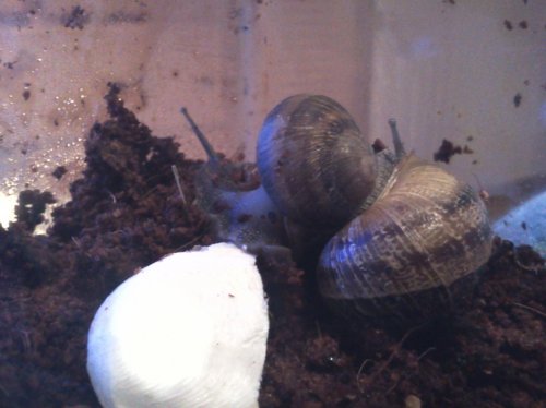 2012-08-09 18.03.26.jpg