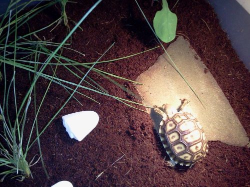 2012-08-08 21.14.40.jpg