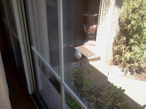 2012-08-09 11.42.59.jpg