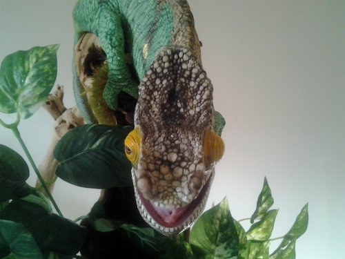 20120809_072553.jpg