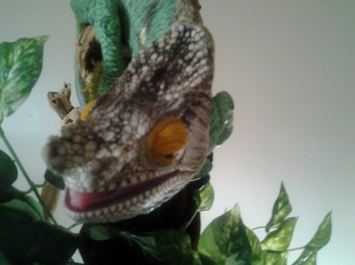 20120809_072543.jpg