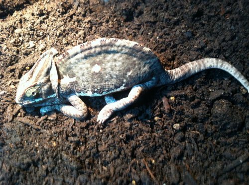 Photo Aug 10, 12 33 20 AM.jpg