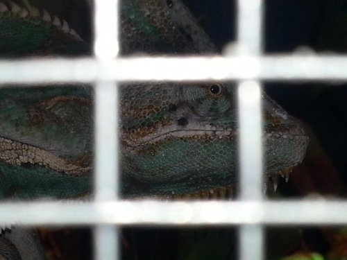 20120810_205739.jpg