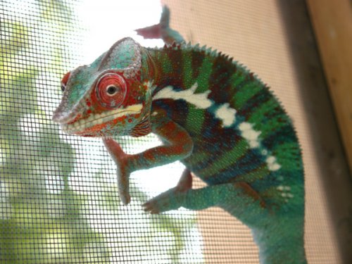 mom and daughter.jpg