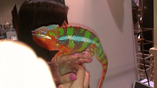 IMAG0121.jpg
