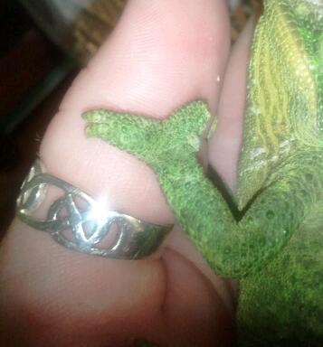 2012-08-11 21.29.29-1.jpg