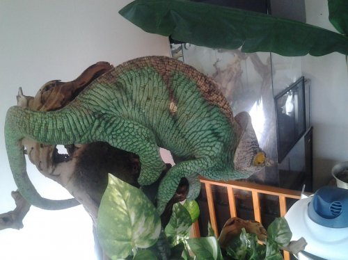 20120809_072624.jpg