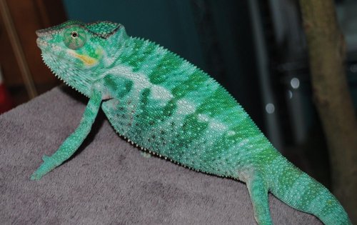 DSC_0549.jpg