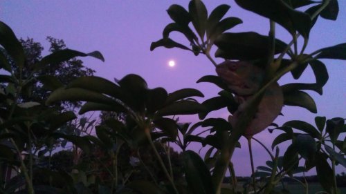 IMAG0033.jpg