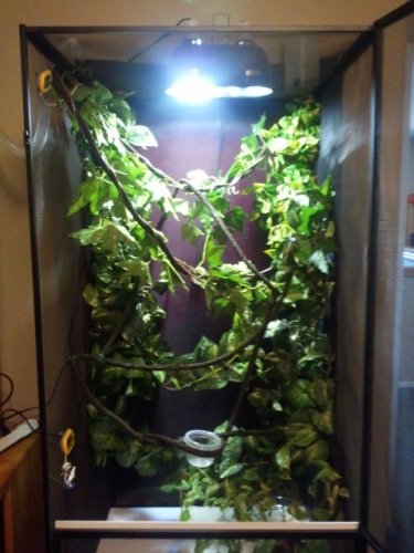 2012-08-12 10.42.32.jpg