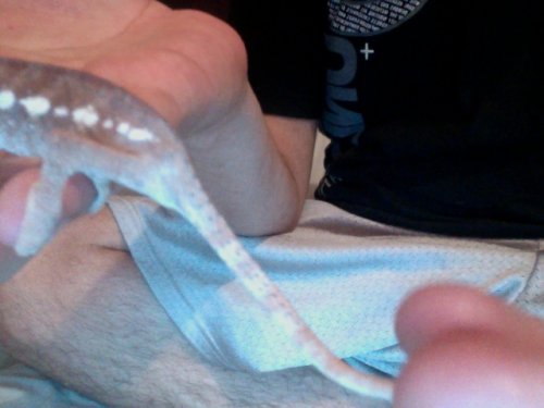 marley tail 6.jpg
