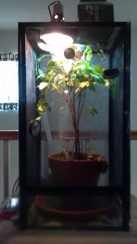 2012-08-15_18-01-47_832.jpg