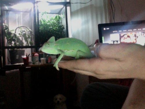 Photo on 2012-07-13 at 19.47.jpg