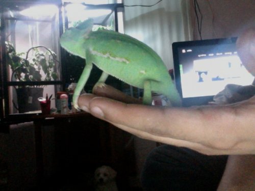 Photo on 2012-07-13 at 19.47 #2.jpg