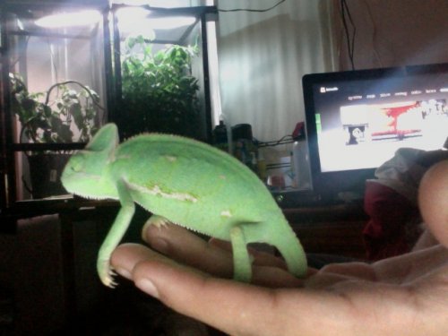 Photo on 2012-07-13 at 19.47 #3.jpg