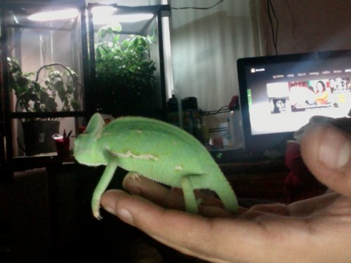 Photo on 2012-07-13 at 19.47 #4.jpg