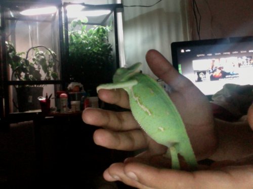 Photo on 2012-07-13 at 19.47 #5.jpg