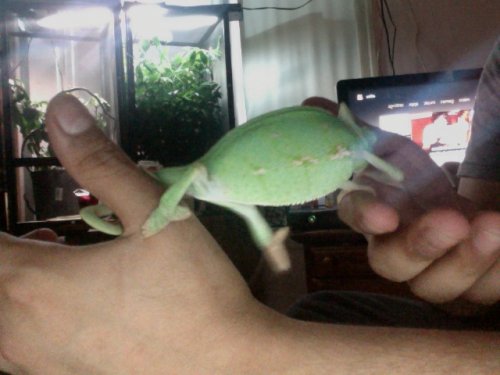 Photo on 2012-07-13 at 19.48.jpg